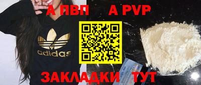 прущие грибы Новодвинск