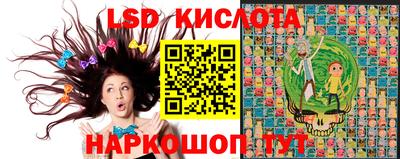 прущие грибы Новодвинск