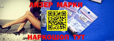 прущие грибы Новодвинск