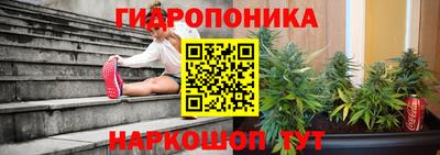 гидра Новокубанск