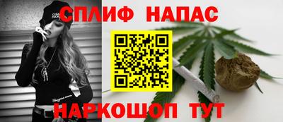 прущие грибы Новодвинск