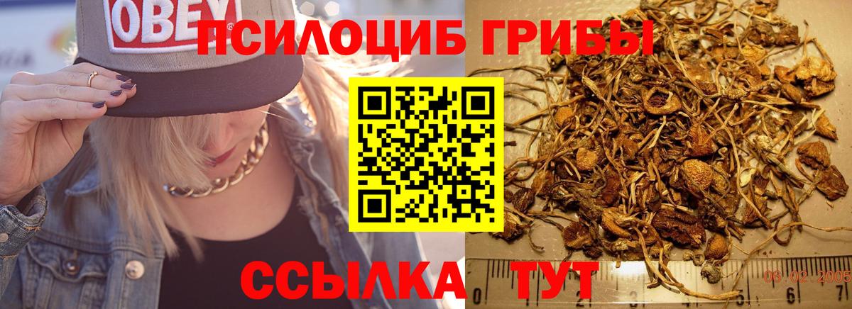 Сальск  Галлюциногенные грибы мицелий  Галлюциногенные грибы ЛСД  Вход с VPN 